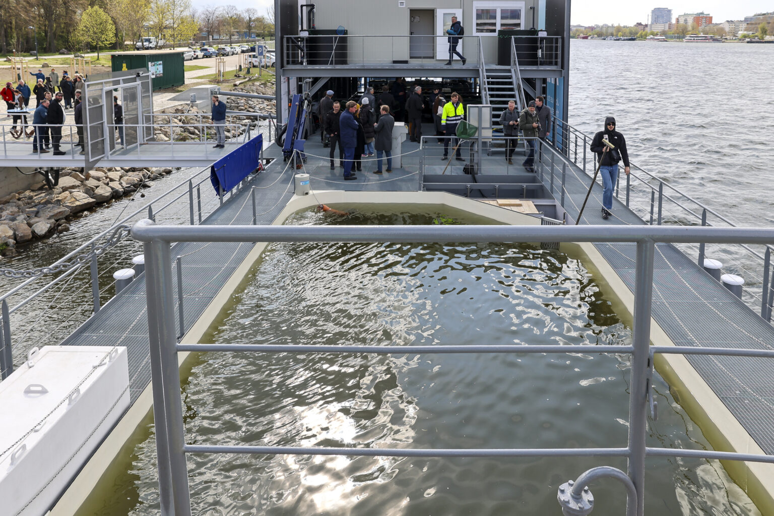 LIFE-Boat4Sturgeon: Bis 2030 sollen 1,6 Mio. Jungfische aufgezogen und ausgewildert werden