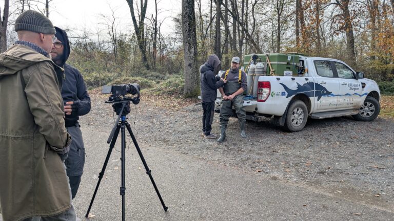 Preparing and shooting everything for the sterlet documentary.