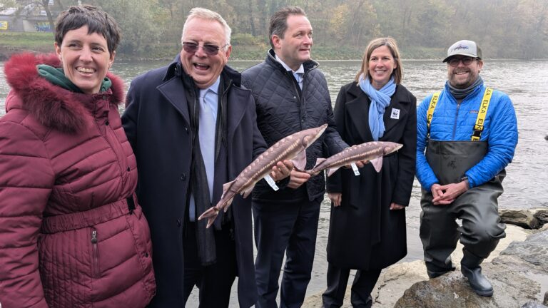 Slovenian and Austrian Ministers, together with Polona and Thomas from LIFE-Boat4Sturgeon.
