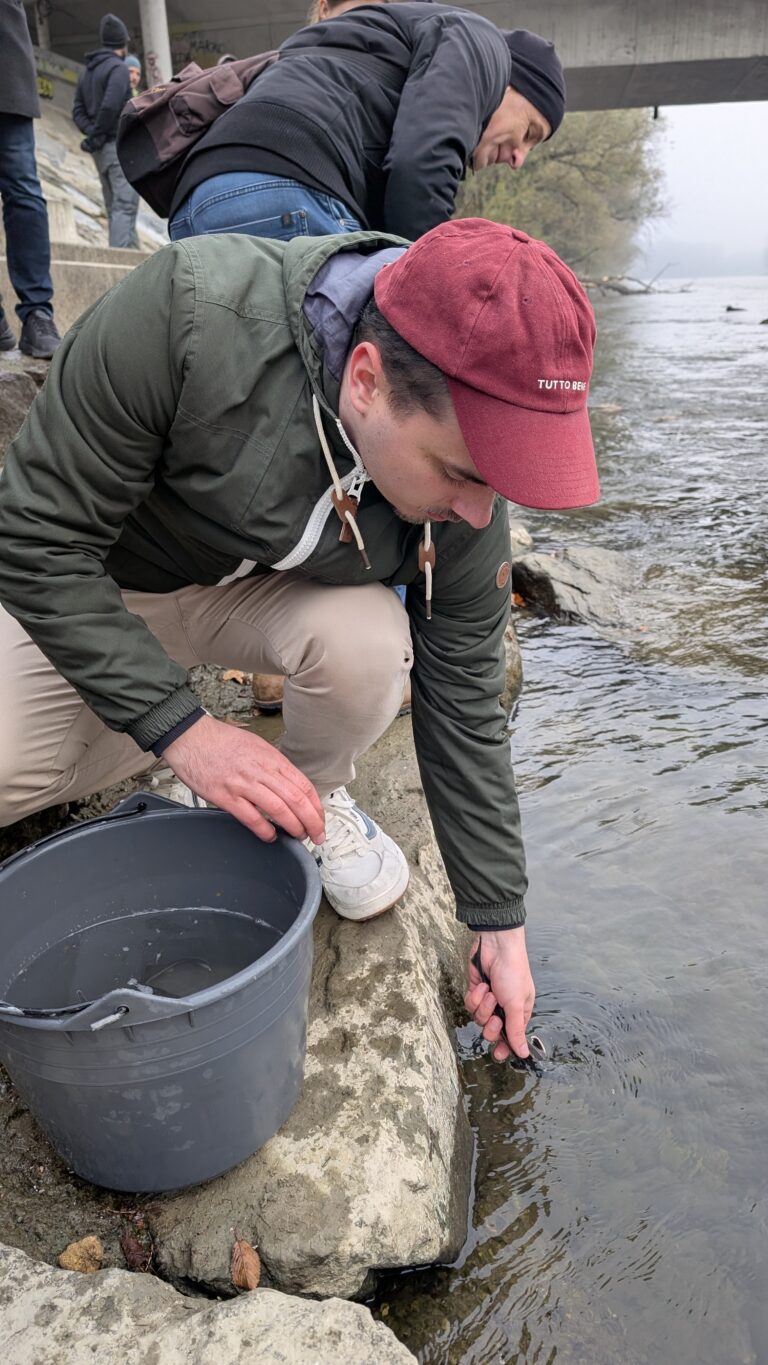 People releasing the sterlets.